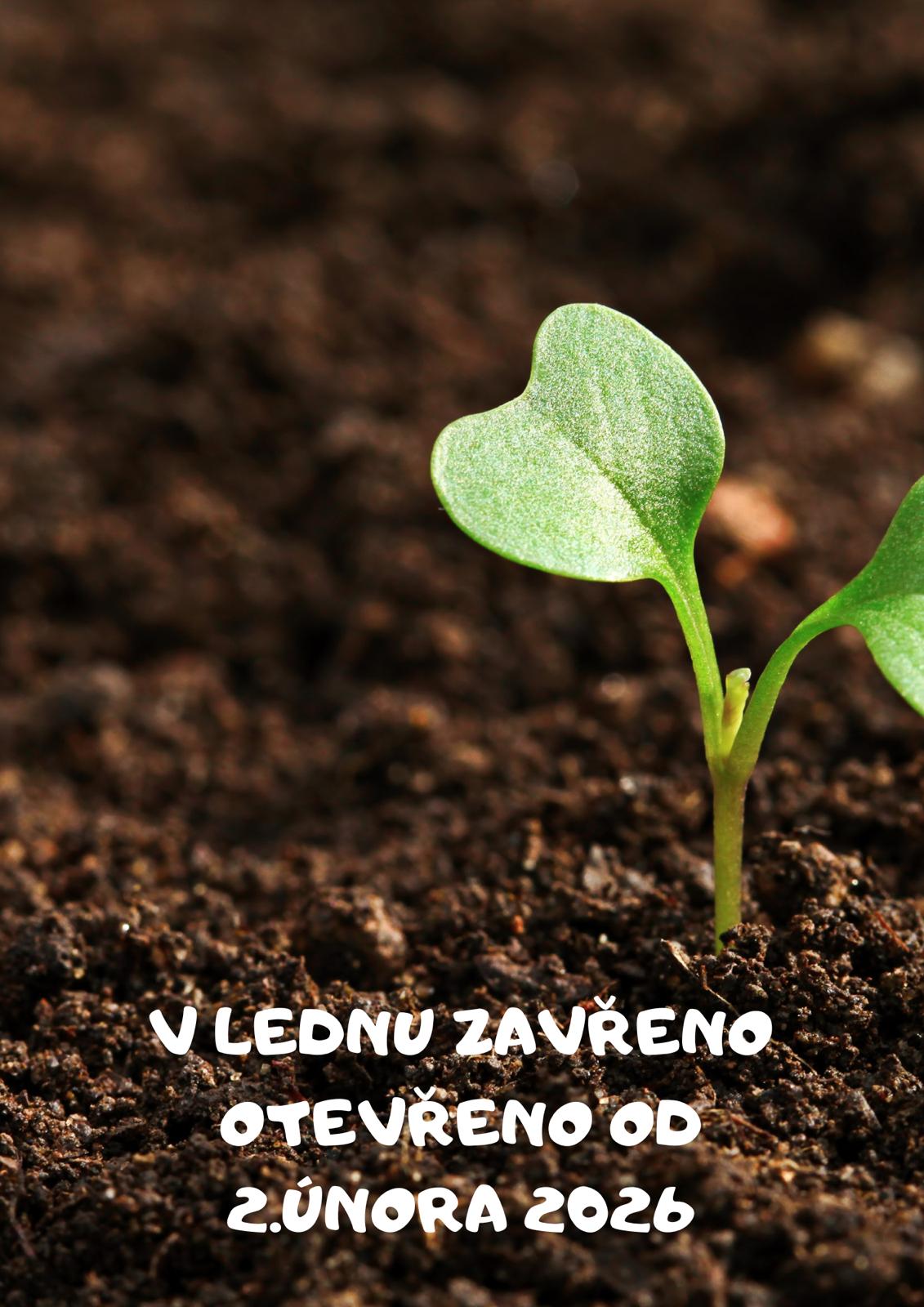 WhatsApp Image 2025-12-31 at 07.54.58